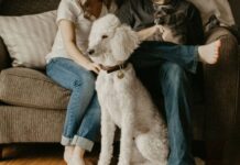 To viral διαζύγιο • Νιόπαντρο ζευγάρι στην Ινδία χώρισε εξαιτίας σκύλου και γάτας